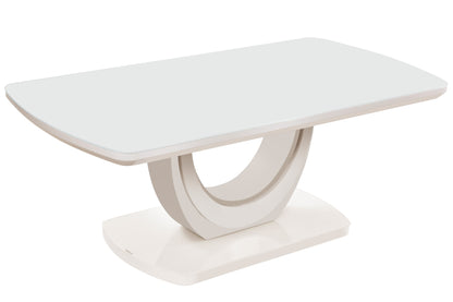 Texas Coffee Table
